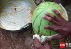 网红农村吃自己瓜,网红农村自产瓜果美食之旅